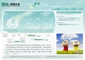 广州顶塑企业—广州网站建设案例